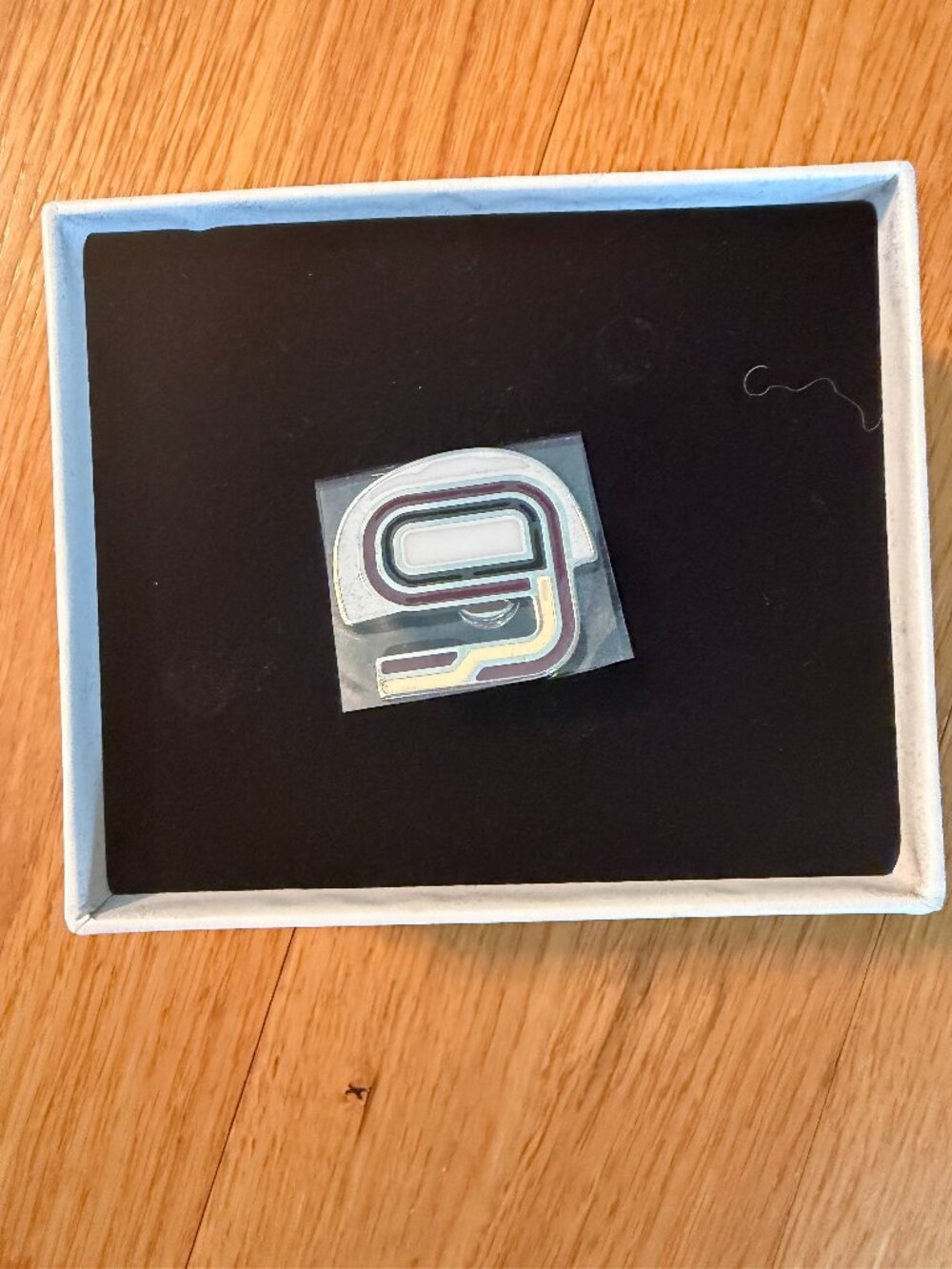NWT 2015 Proenza Schouler Alphabet/Number Collection "9" Pin